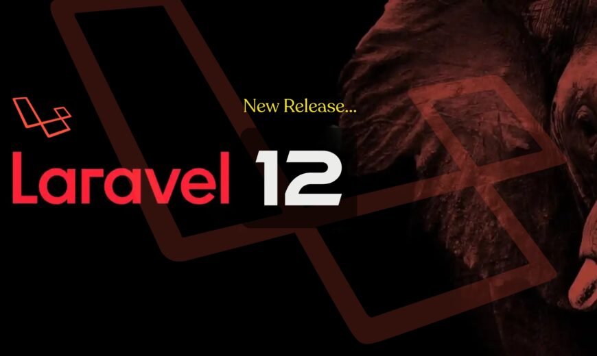 Laravel 12 Developer Dashboard Interface